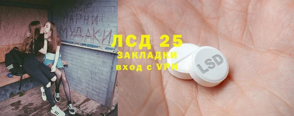 эйфоретик Алзамай