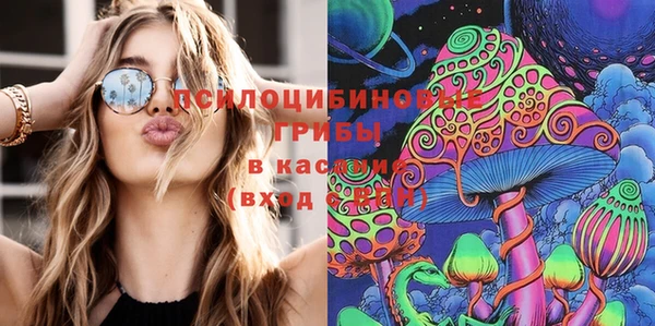 эйфоретик Алзамай